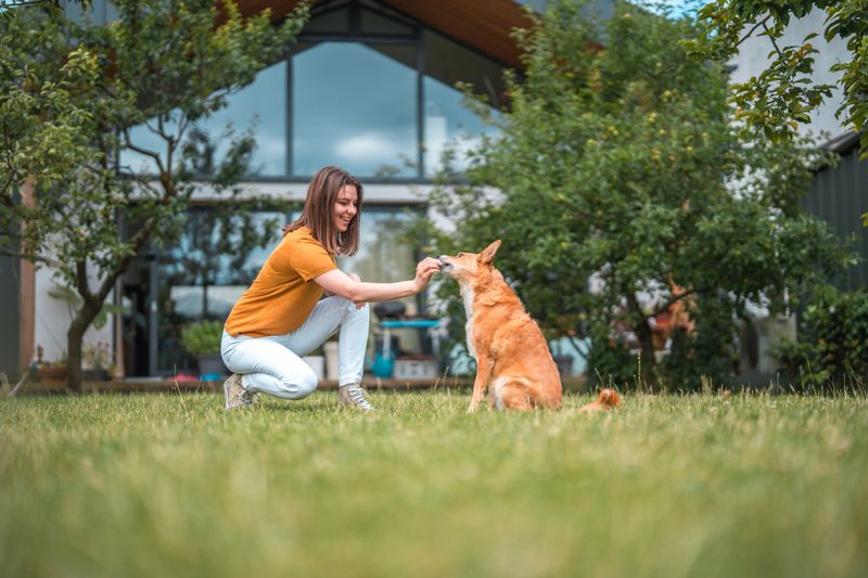 A trainer demonstrating positive reinforcement techniques with a happy dog in a training session.