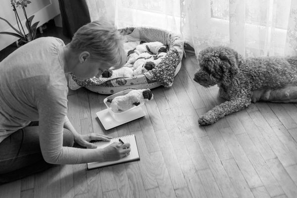 Woman taking notes while observing newborn puppies and an adult dog.