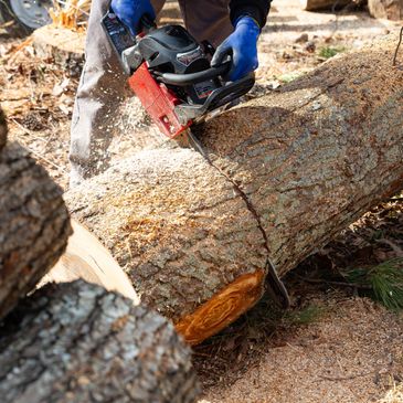Person cutting a large log with a chainsaw outdoors.