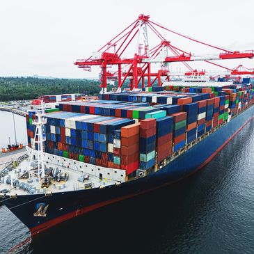 Liner companies
Ro-Ro, Breakbulk, Project vessels
Maritime service groups
Container shipping
LNG LPG