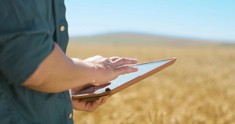 Field, tablet and farmer in nature of countryside for inspection of grass with digital app. Agriculture, entrepreneur and person with technology, mobile and planning for development in land in Texas