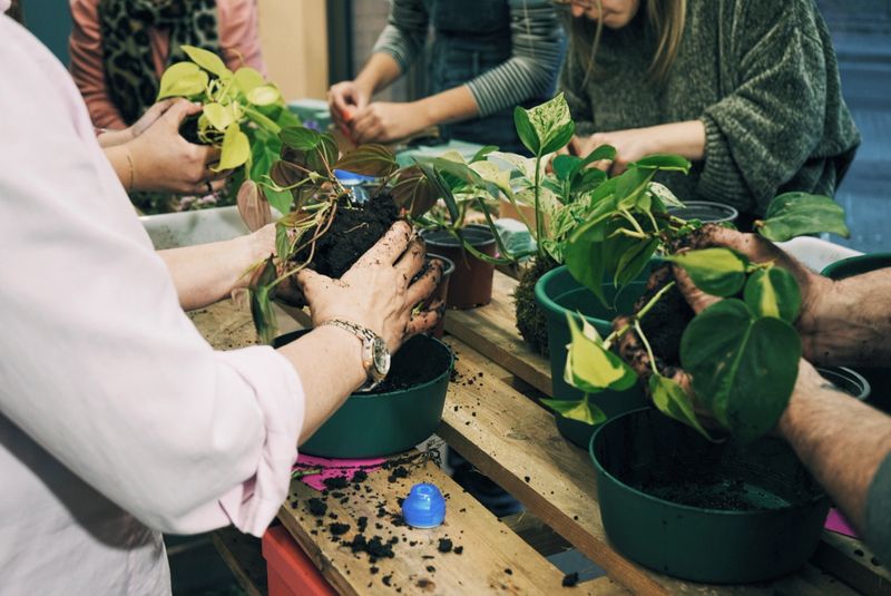 florist full of diverse flowers of all colors in which workshops are carried out by hand, Barcelona, on March 7, 2024