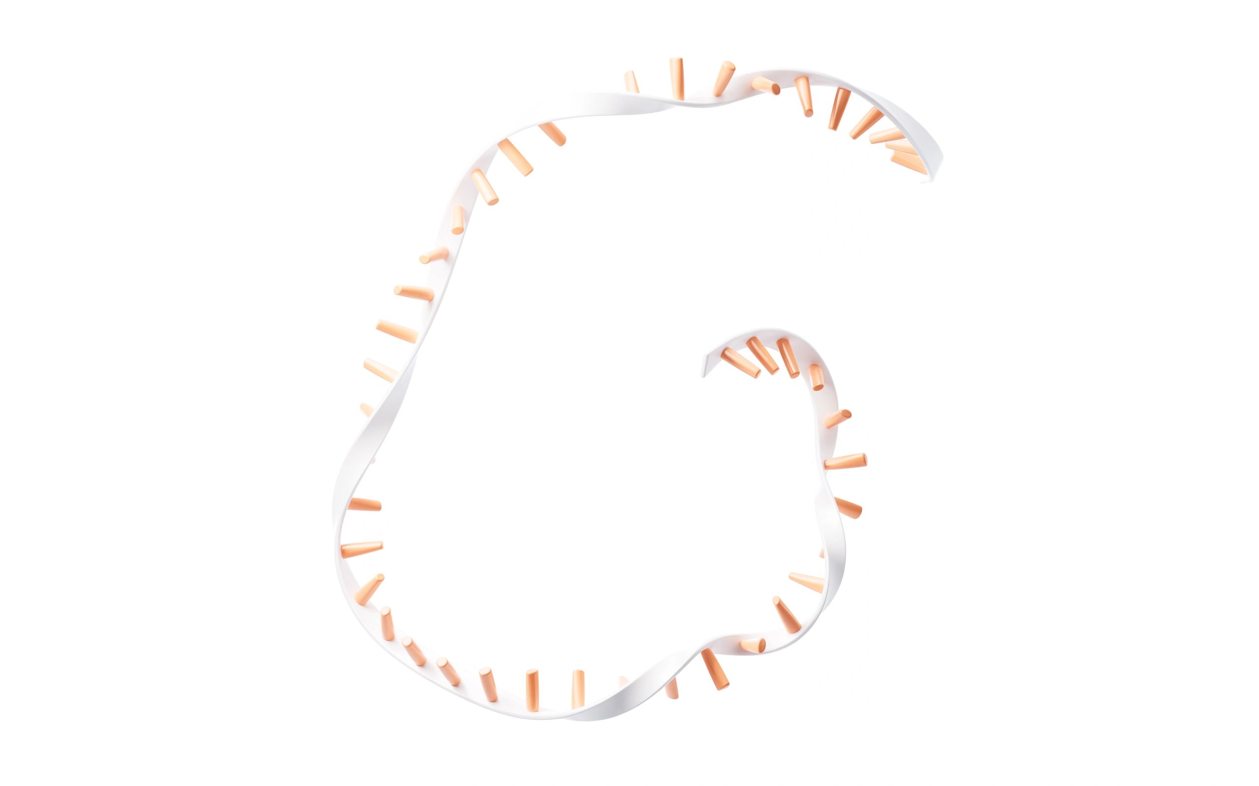 Illustration of an RNA strand with bases on a white background.