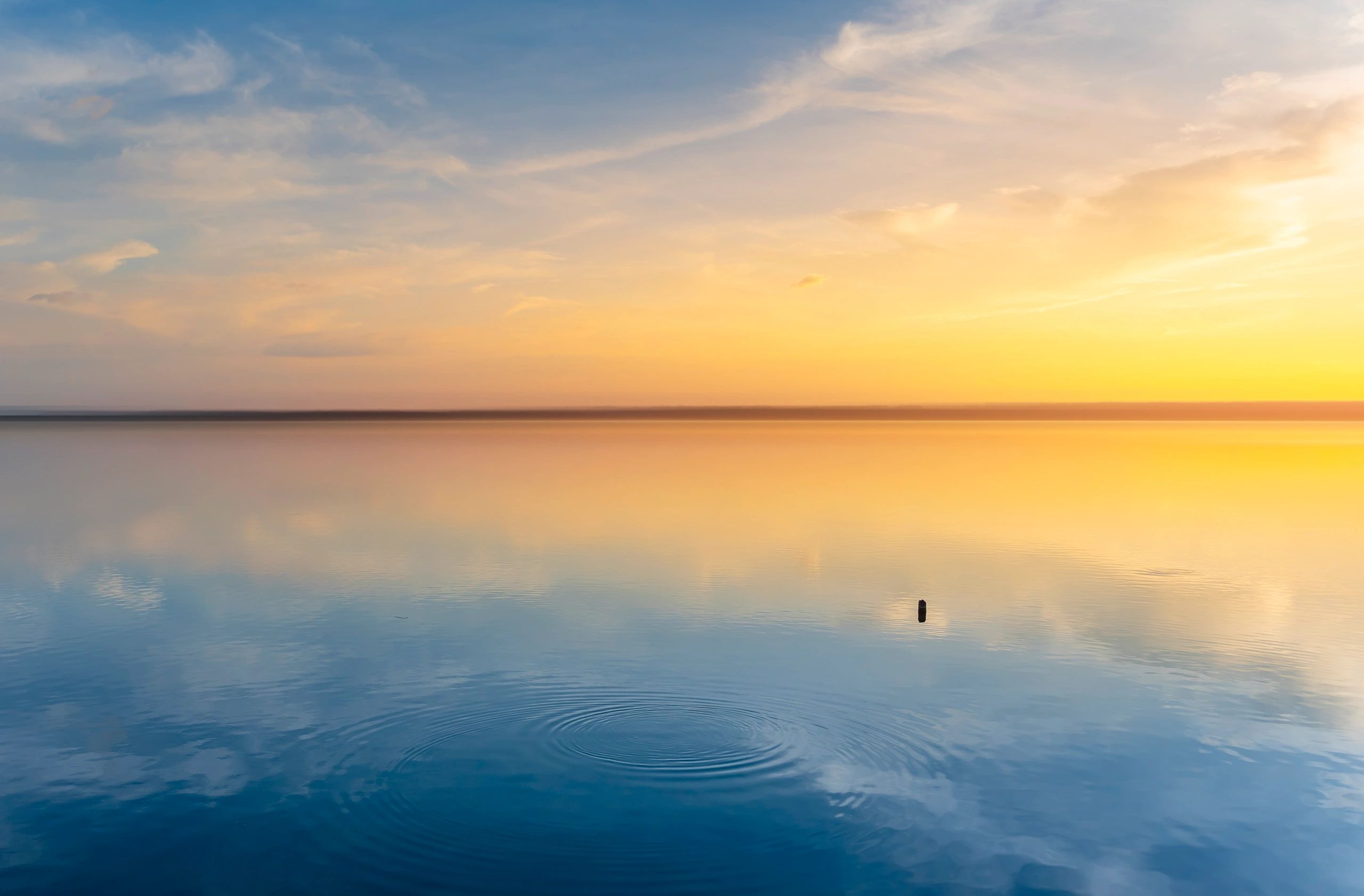 Wise Mind Psychological Services P.L.L.C. - TMS Clinic in Rockville Centre, NY