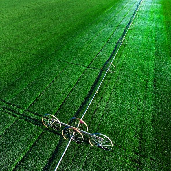 Aerial view from a drone flying above a green farm field growing crops growth with irrigation pivot sprinklers