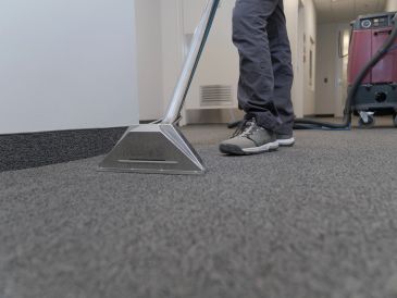 Person cleaning carpet with vacuum.