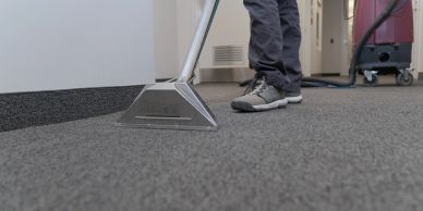 Person cleaning carpet with vacuum.