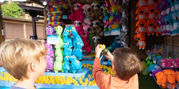 Two boys play a carnival game catching yellow rubber ducks for prizes.