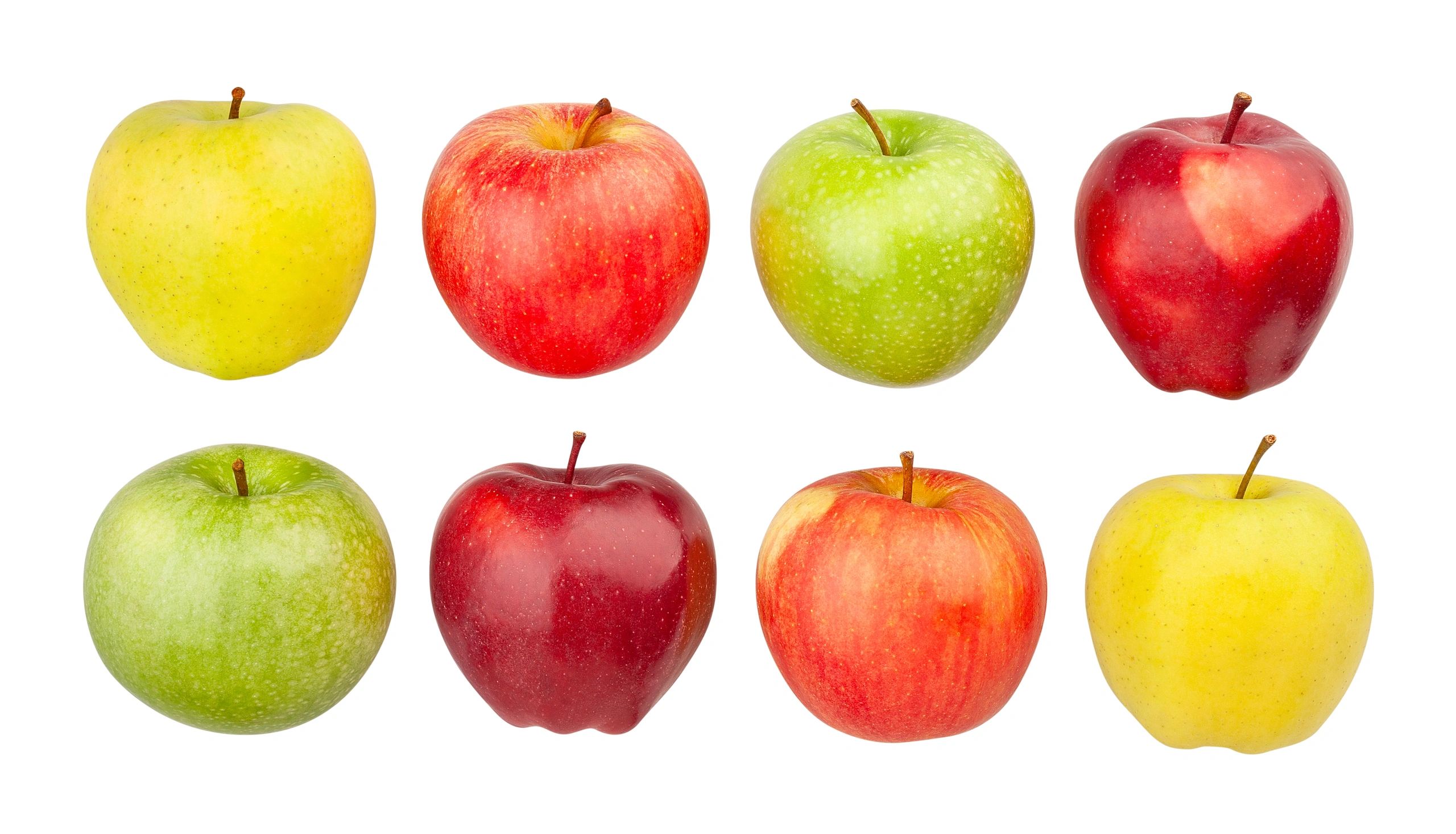 Various apples in different colors arranged in two rows on white background.