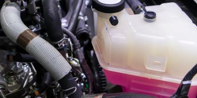 Close-up of a vehicle engine compartment with a coolant reservoir filled with pink fluid.