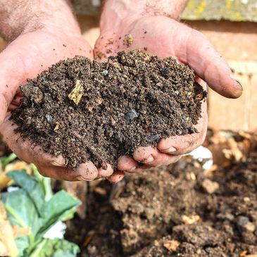 Hands holding rich, dark compost soil with organic matter.