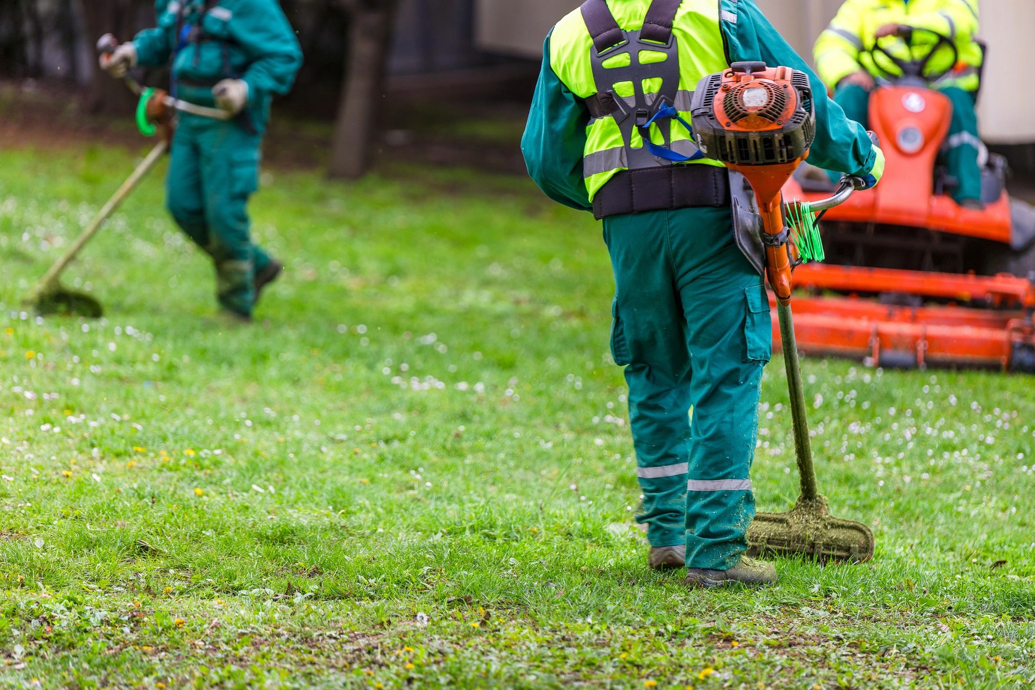 best-lawn-care-companies-near-me-ferrer-landscaping