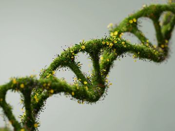 DNA double helix made of green plants and colorful flowers.