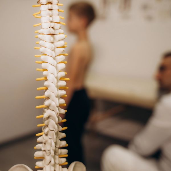 Model of a human spine with a boy and doctor blurred in the background.