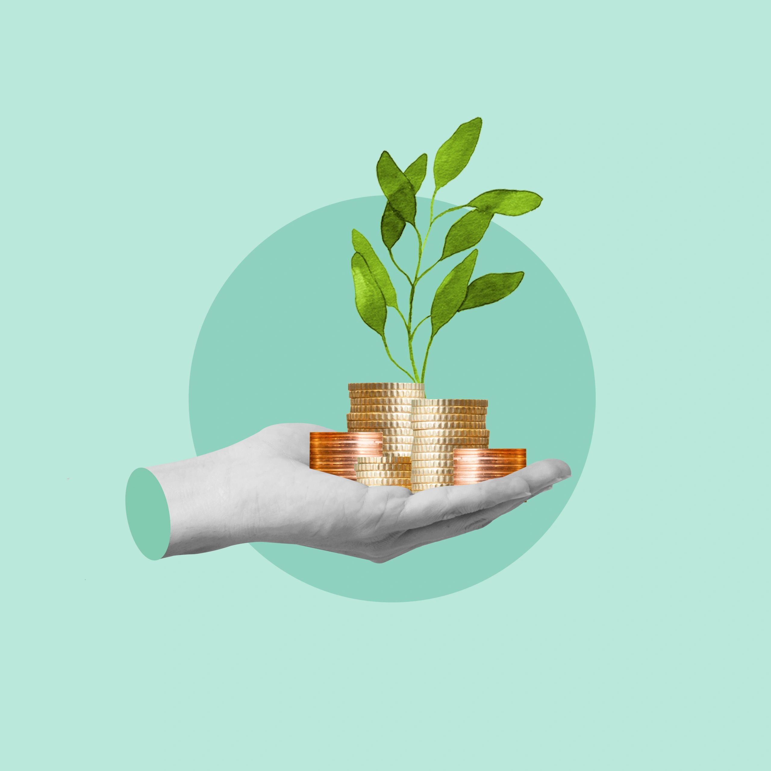 A hand holding a gold coin and a plant