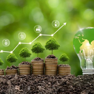SASO Energy Efficiency Saudi Arabia