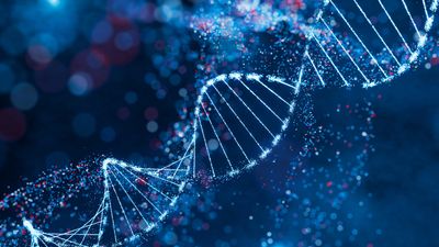 DNA double helix with genetic variations that can be identified with IntellxxDNA genomic testing
