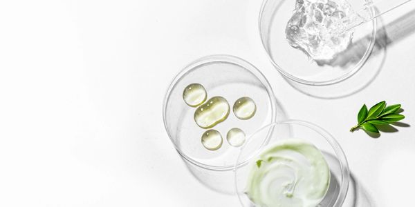 Clear petri dishes with skincare gel, oil droplets, and cream alongside a green leaf on white.