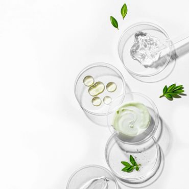Petri dishes with skincare ingredients and green leaves on white.