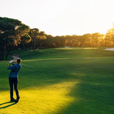 Golfer on the tee with the sun shining on him, trees in the background