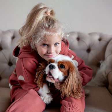 Three Cavalier puppies sitting in a row on a wooden porch. Cavalier Puppies for sale near me