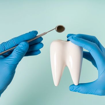 Dental professional holding a tooth model and instruments to demonstrate tooth extraction treatment.