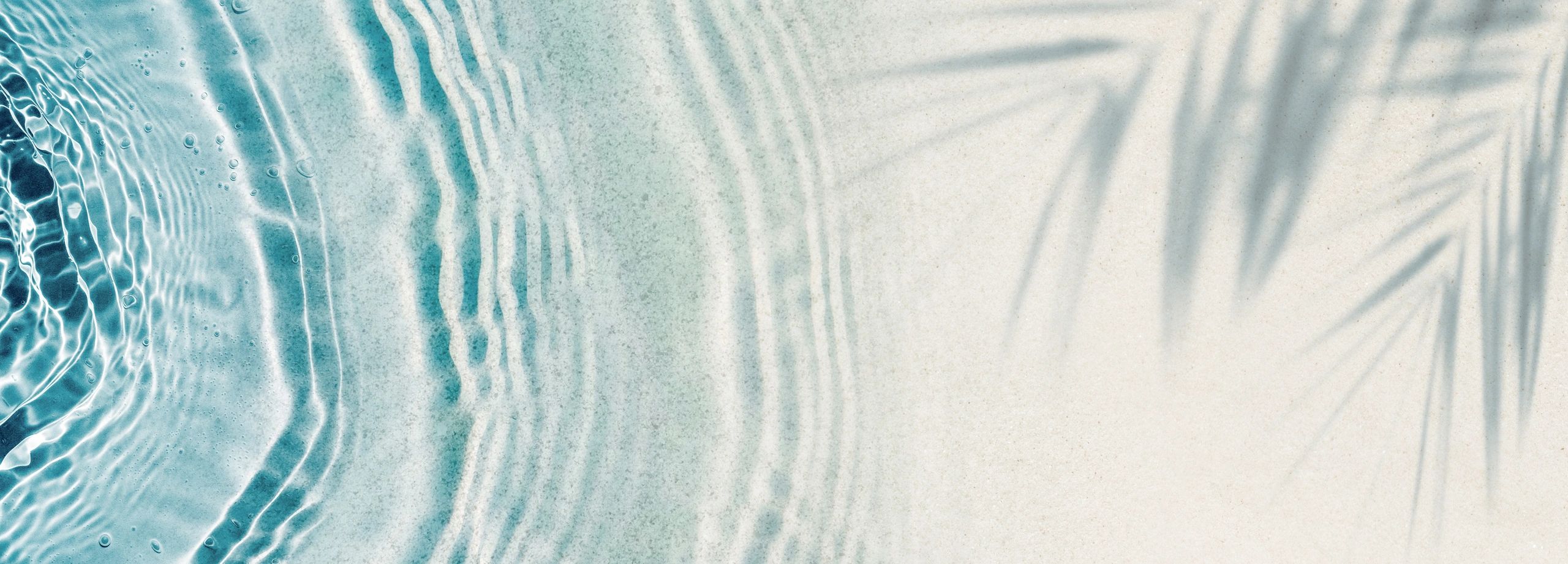 Your Wellness Compass