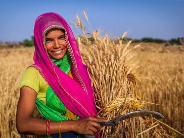 Smiling woman in vibrant attire harvesting wheat with a sickle in golden field.