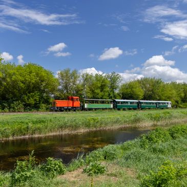A small orange train traveling through green countryside on a sunny day.