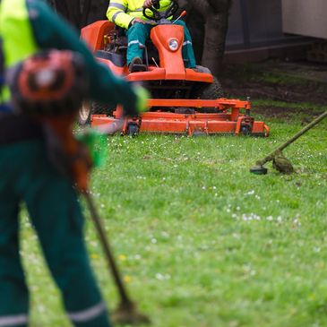 Rasenpflege & Gartenservice – Pjetri Premium Services