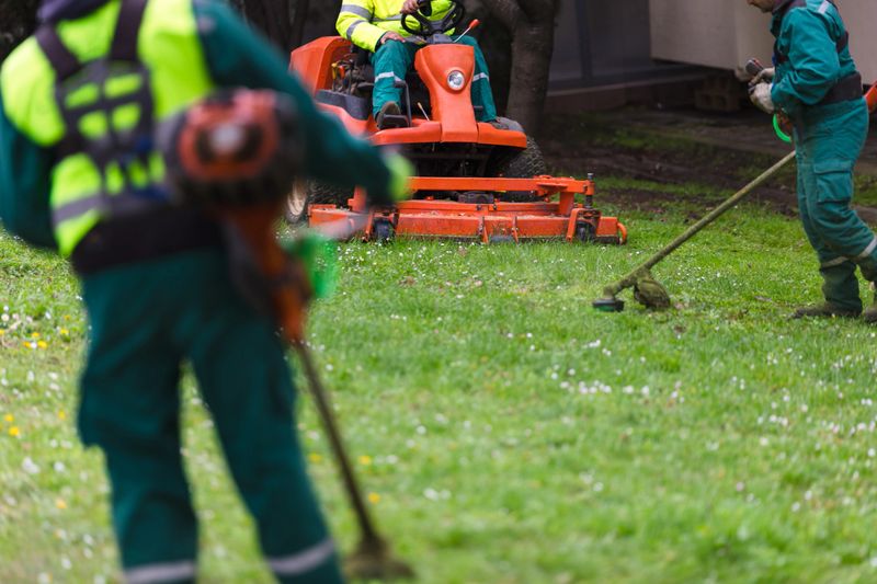 Three landscapers in uniform mowing and cleaning a green grass area with lawn equipment, focusing on maintenance and greenery