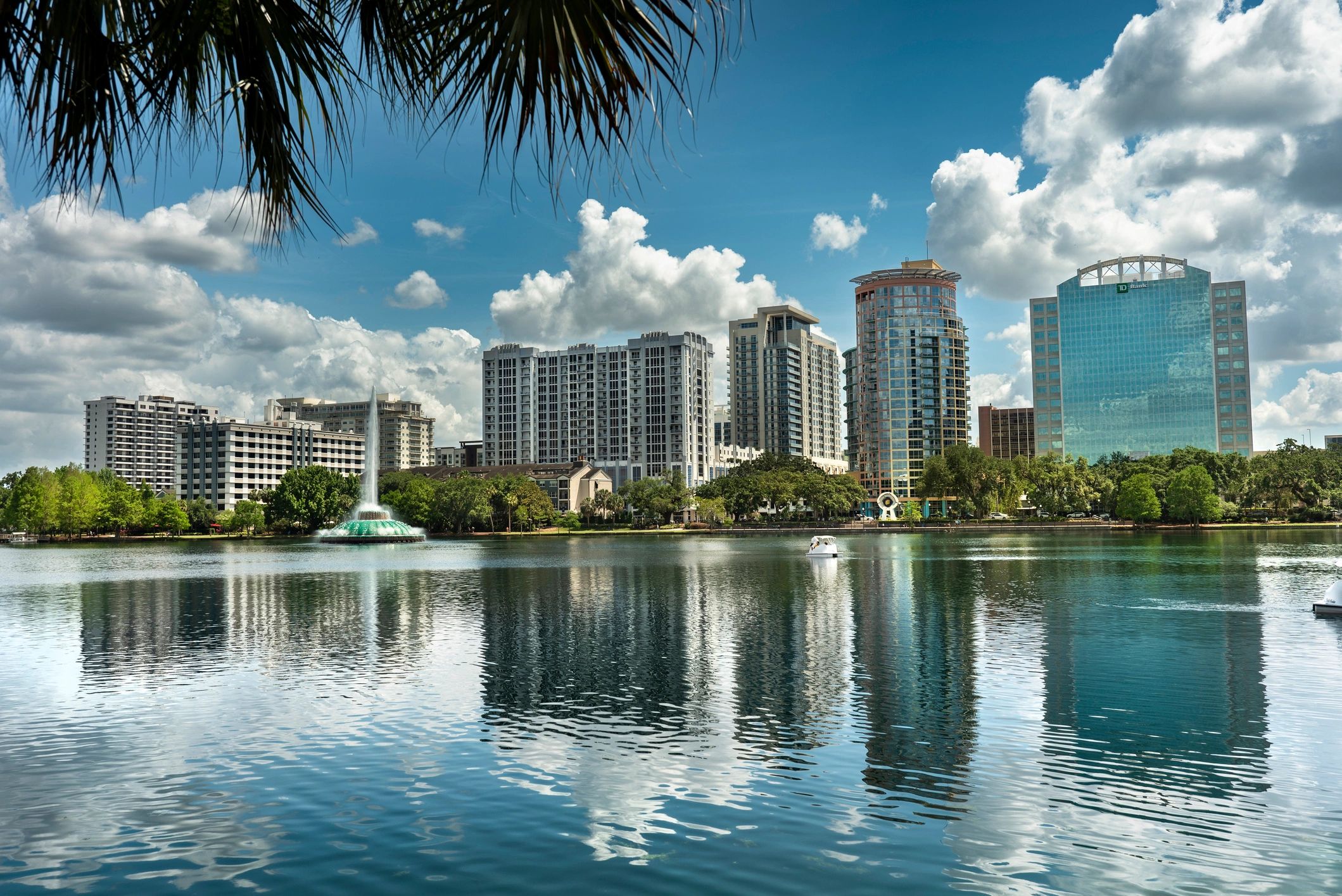 Based in Central Florida and serving clients throughout the state.