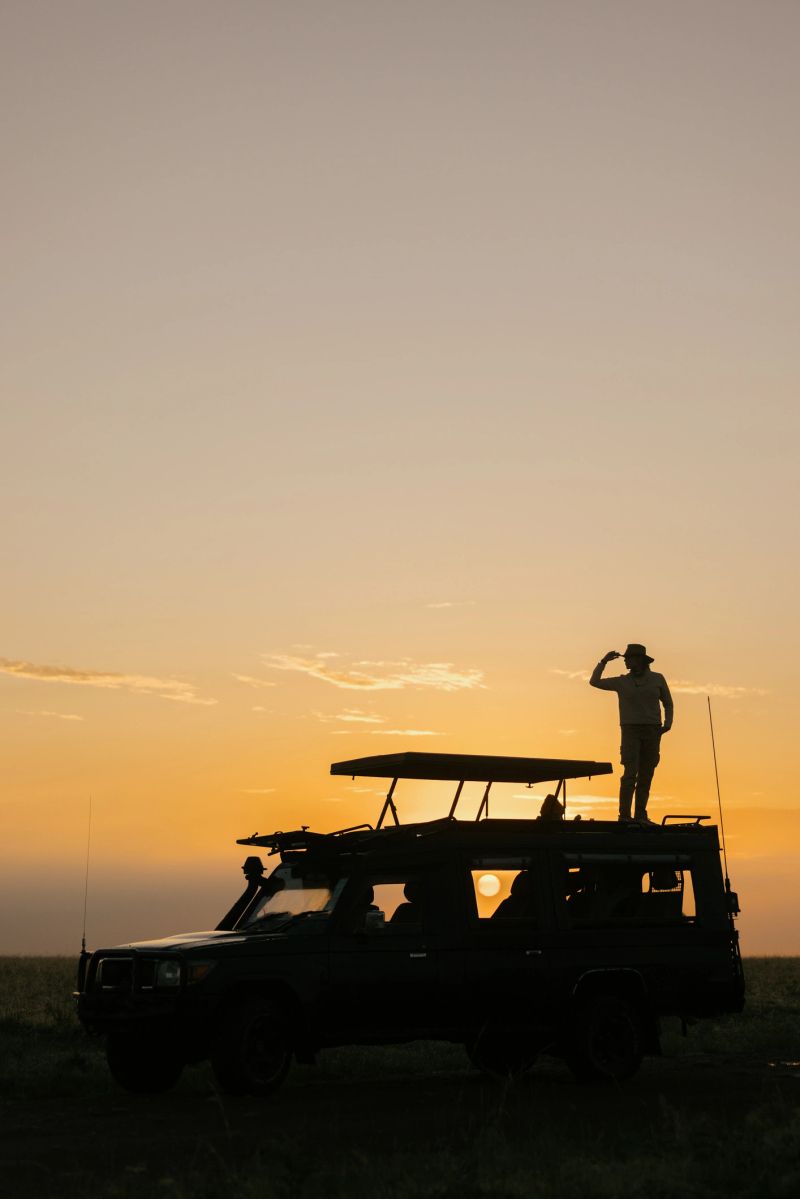 Female explorer standing on the top of 4x4 while exploring the wilderness at sunset.