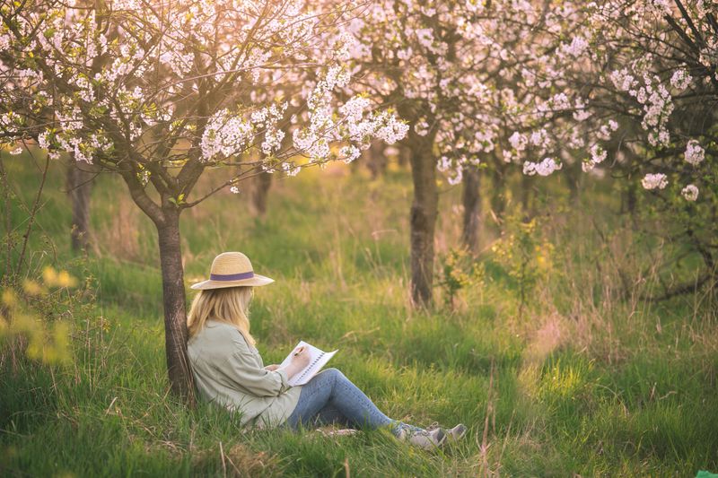 Woman with straw hat is writing her diary and resting in blooming cherry orchard. Joy the moment in spring nature. Relaxation and digital detox outdoors