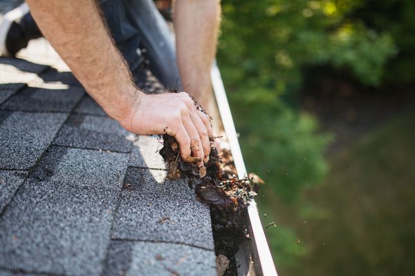 De Moss Boss Maintenance photo 1