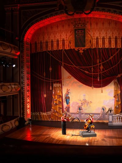 Two musicians performing on an elegant theater stage.