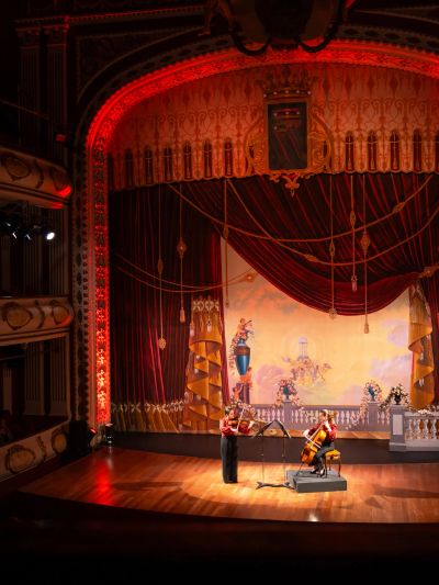 Two musicians perform on a grand theater stage.