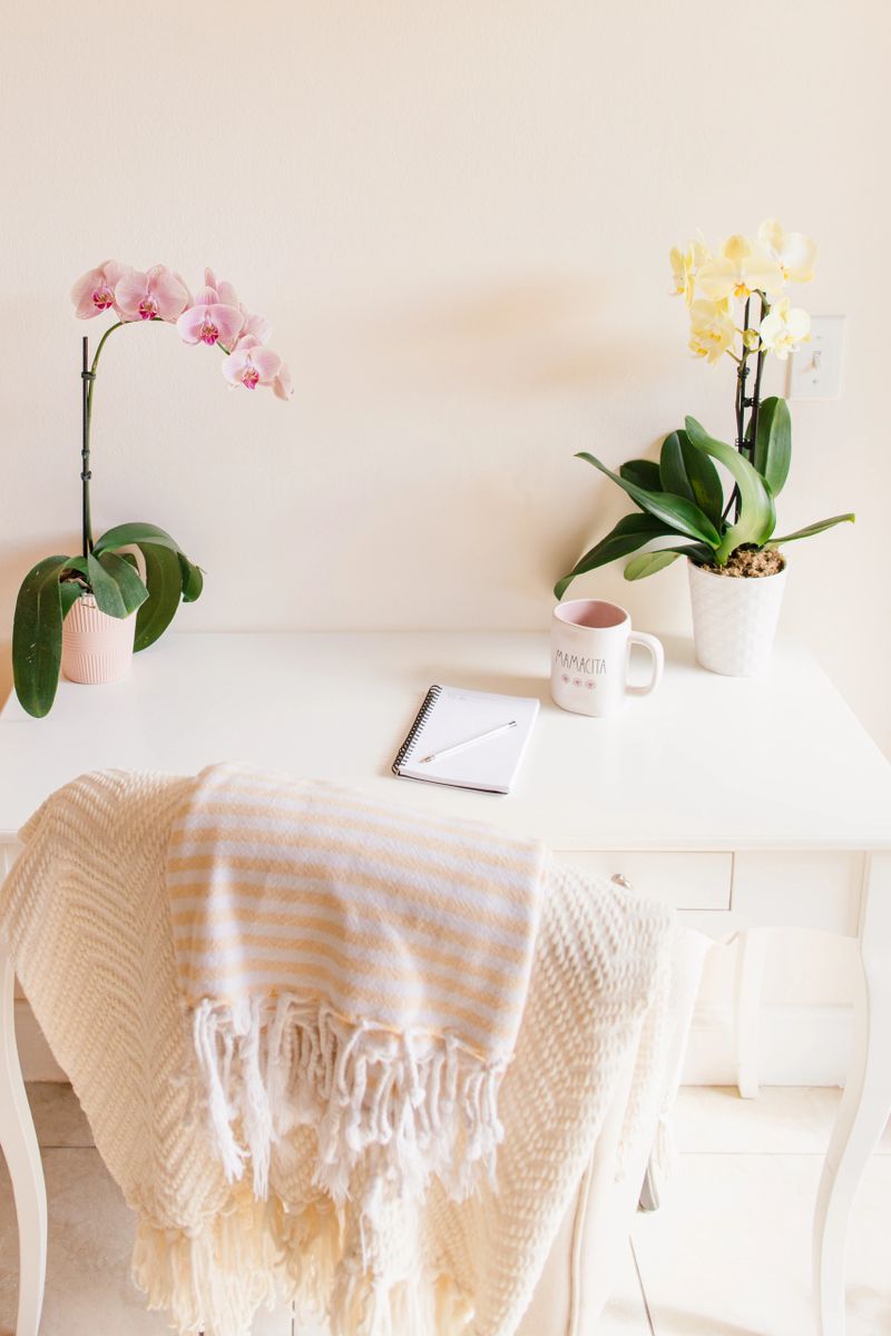 A Mother's Simple Springtime Home Office Space with Pink & Yellow Orchid Plants, a Pad of Paper, a Pen, a Cell Phone & a Mug of Black Coffee with the Word "Mamacita" Written on it, on a White Deck with a Cream-Colored Background With Copy Space in Bright Natural Light. A cozy chair with blankets draped over the back of the chair. A rattan chair beside the deck for guests.