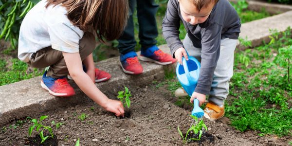 Children planting and watering seedlings in a garden.