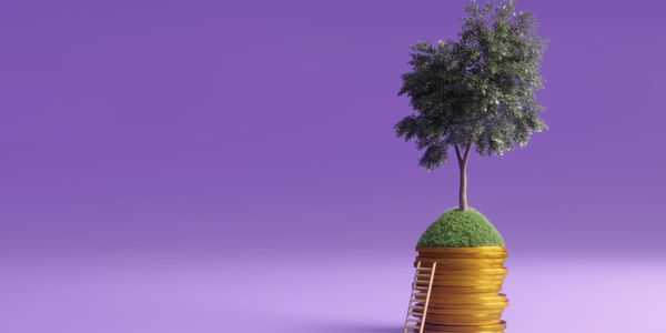 A tree growing on stacked gold coins with a ladder against a purple background.