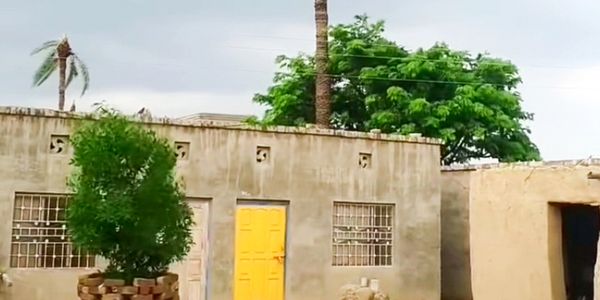 A modest building with a bright yellow door and a potted tree in front.
