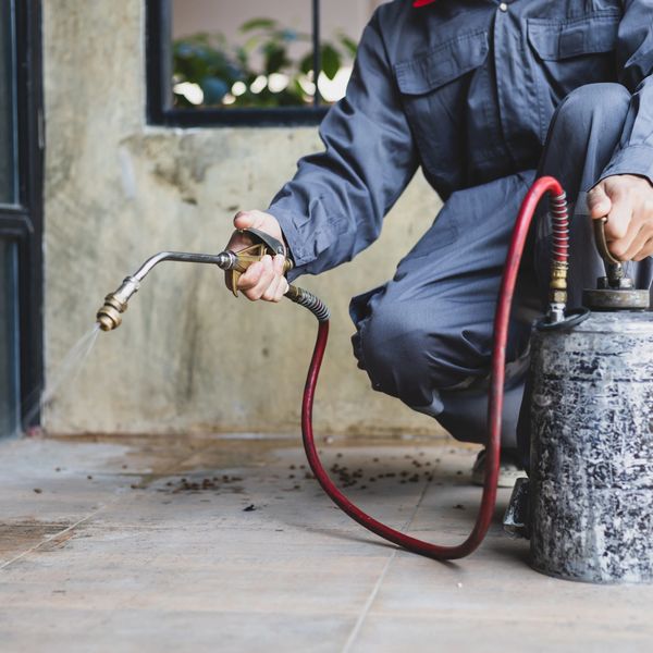 Person spraying pesticide on floor indoors with protective gear.
