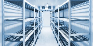 Empty metal shelving units in a clean, cold storage room.