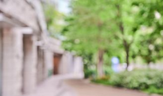 Blurred outdoor scene with trees and pathway.
