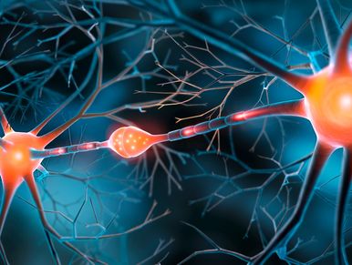 Pain receptors targeted for relief.