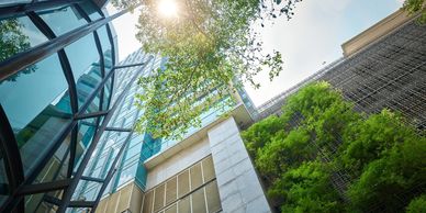Sunlight filters through trees beside modern glass and green-covered buildings.