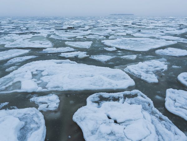 Frozen sea with scattered ice floes under a gray sky.