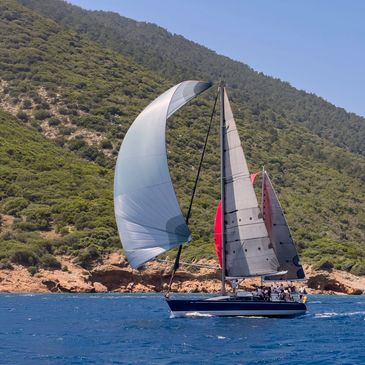Sailboats with colorful sails race on blue water near a green hillside.