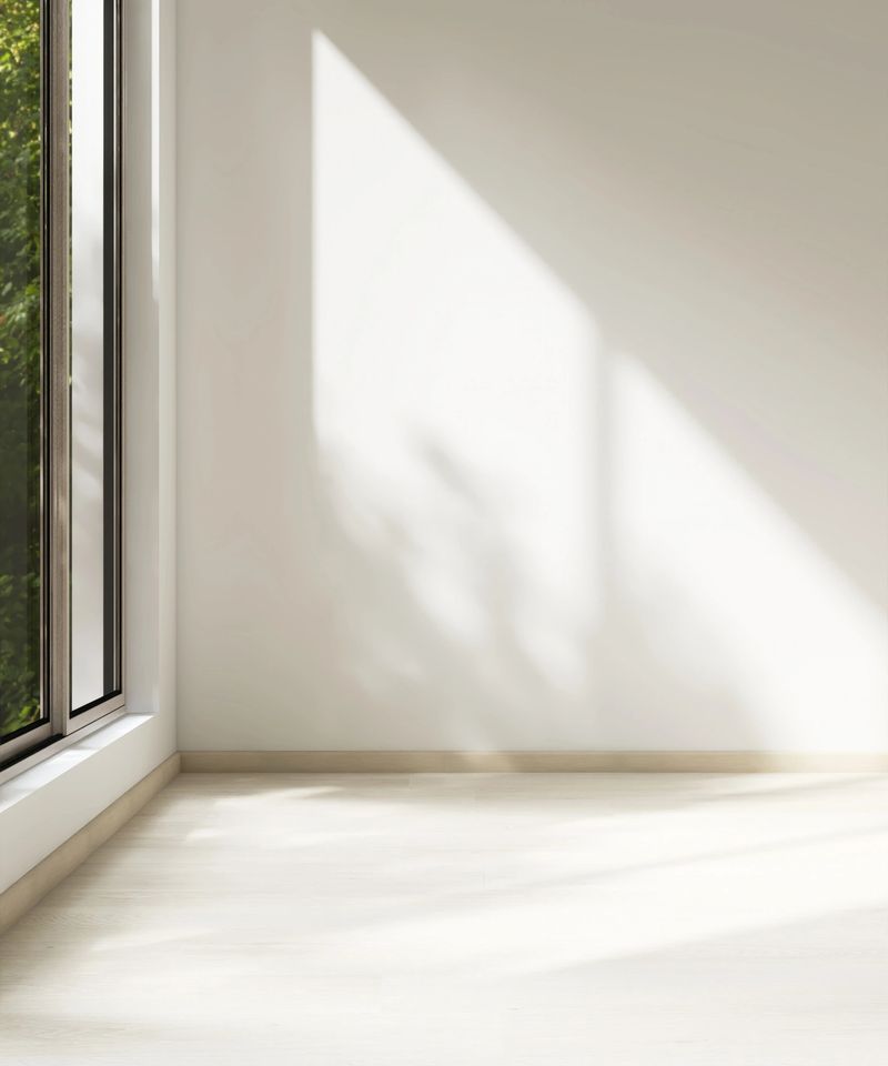 Empty room with white wall in sunlight from window, tree shadow on wood laminated floor for luxury, minimal interior design decoration, architecture, product background 3D