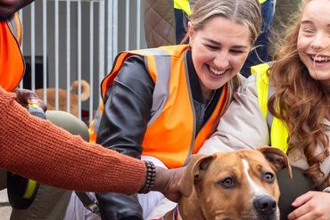 Seymour - Rescued Dog